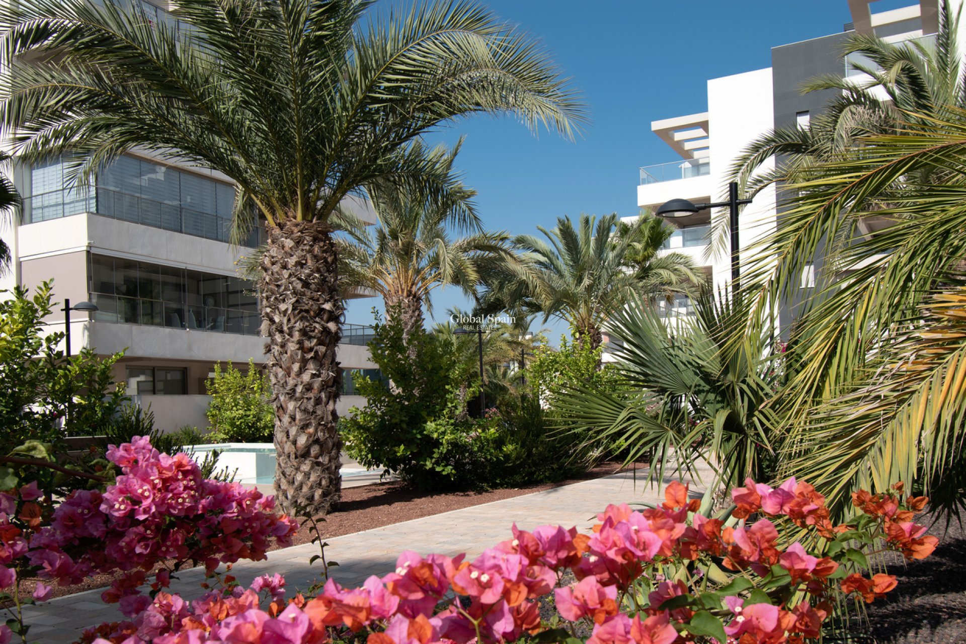 Venta - APARTAMENTO -
ORIHUELA COSTA - Los Dolses