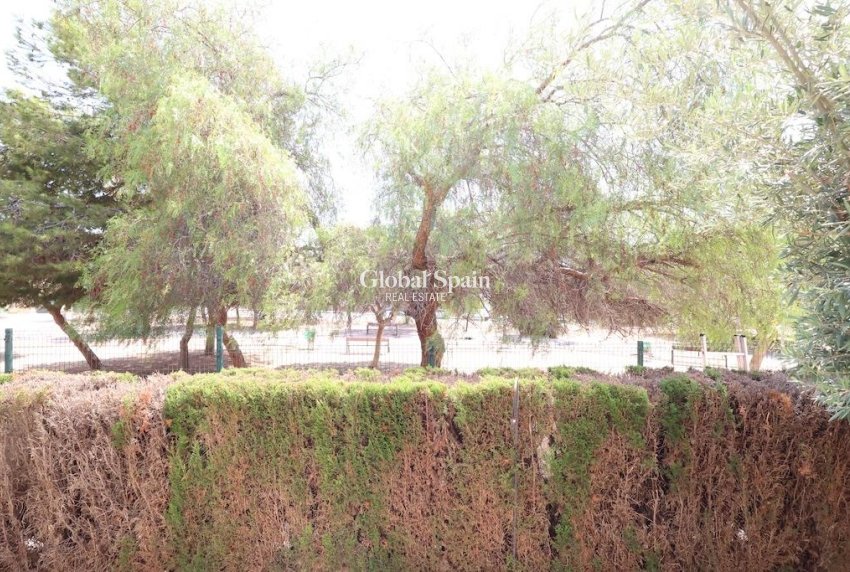 Venta - APARTAMENTO -
ORIHUELA COSTA - Punta Prima