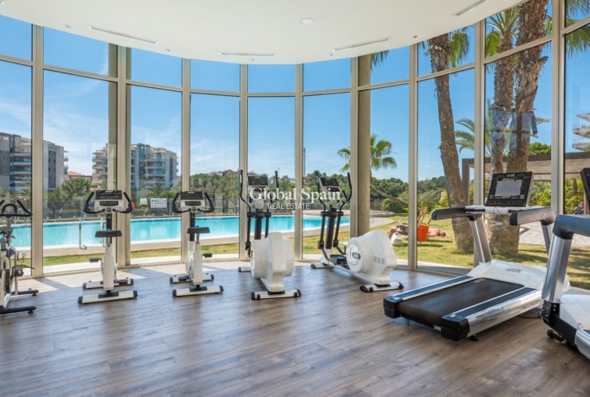 Venta - Apartamento -
ORIHUELA COSTA - VILLAMARTÍN