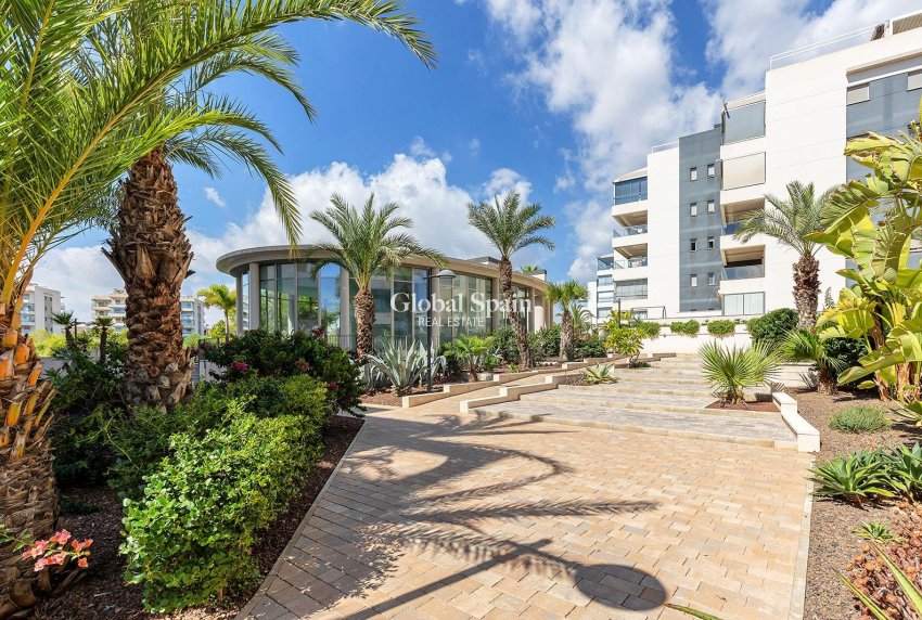 Venta - APARTAMENTO -
ORIHUELA COSTA - VILLAMARTÍN