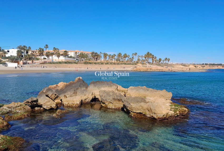 Venta - APARTAMENTO -
PLAYA FLAMENCA - Costa Blanca