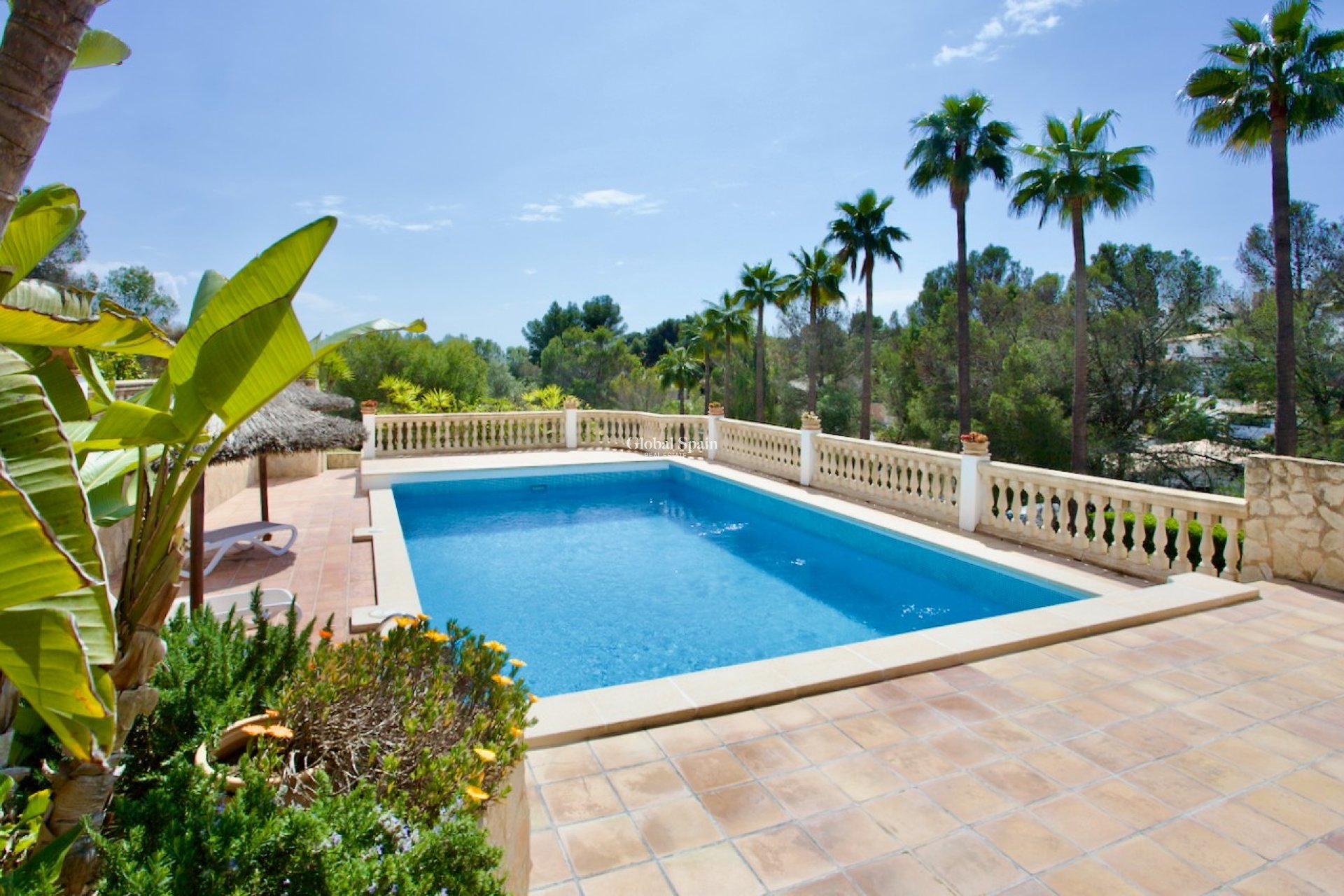 Venta - APARTAMENTO -
PORTALS NOUS - Calvià