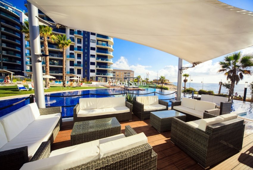 Venta - Apartamento -
PUNTA PRIMA