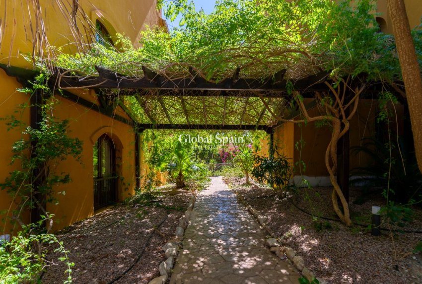 Venta - Apartamento -
PUNTA PRIMA