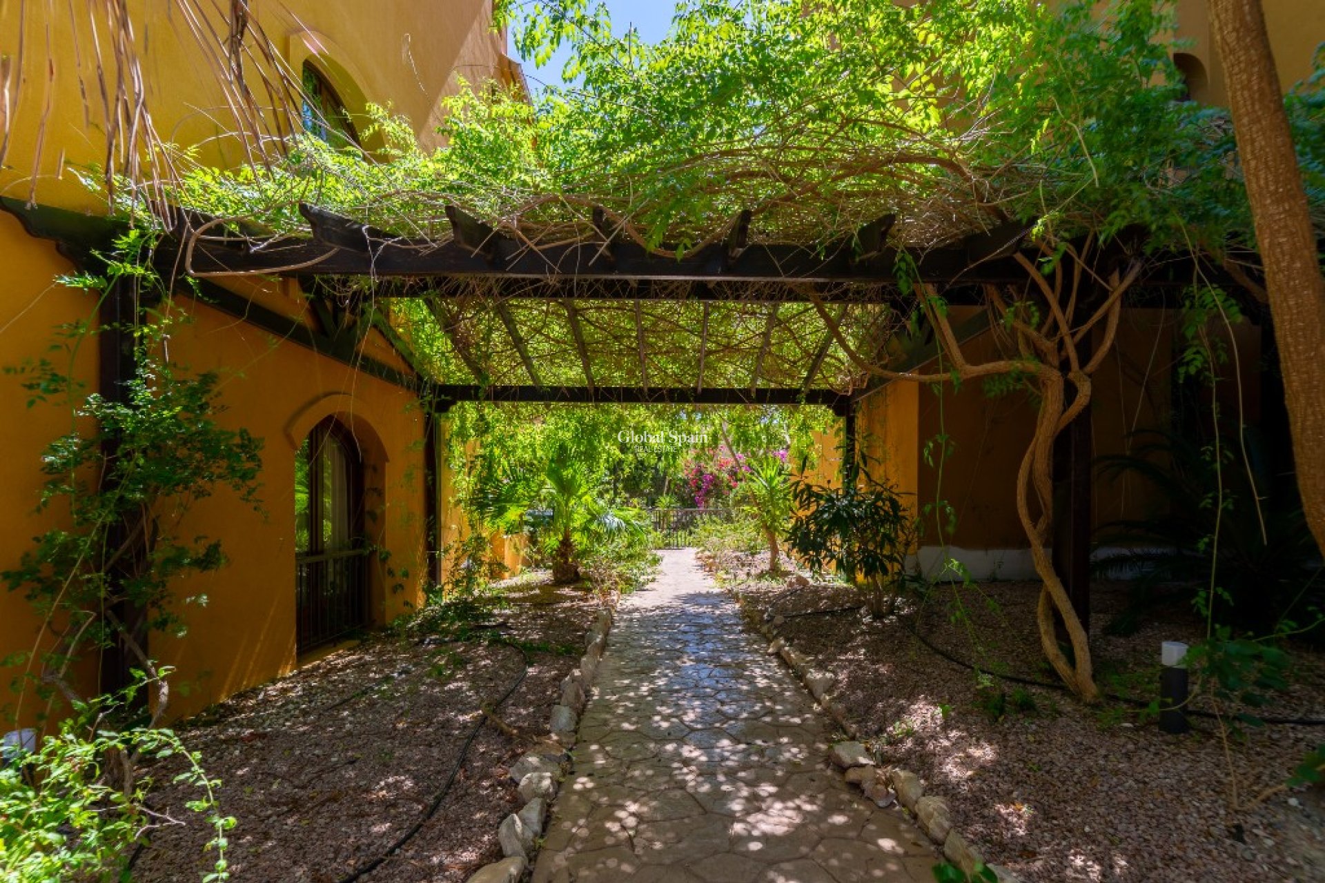 Venta - Apartamento -
PUNTA PRIMA