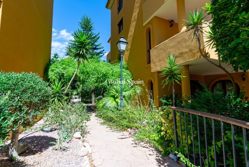 Venta - Apartamento -
PUNTA PRIMA