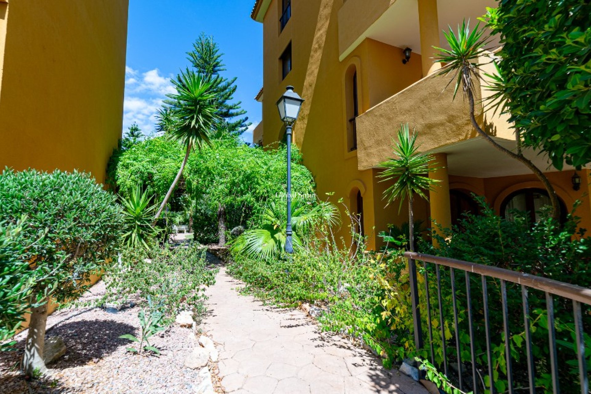 Venta - Apartamento -
PUNTA PRIMA