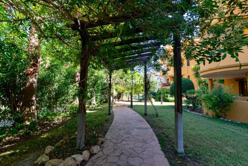 Venta - Apartamento -
PUNTA PRIMA