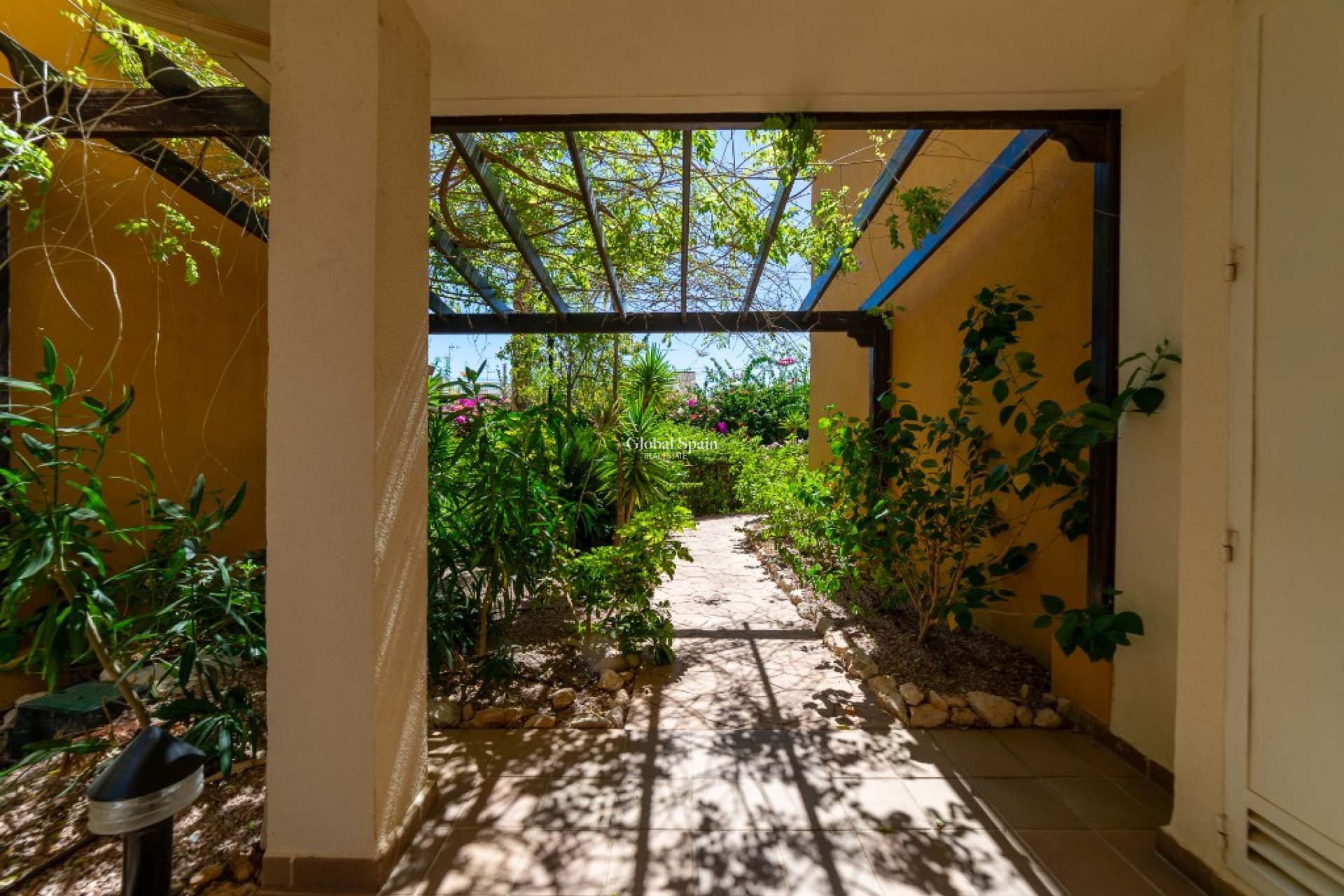 Venta - Apartamento -
PUNTA PRIMA