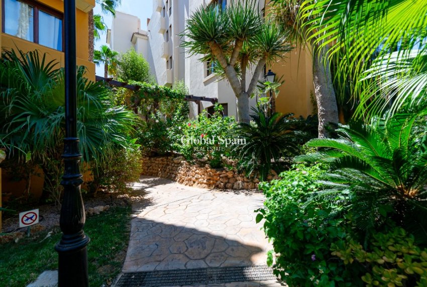 Venta - Apartamento -
PUNTA PRIMA