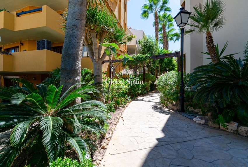 Venta - Apartamento -
PUNTA PRIMA