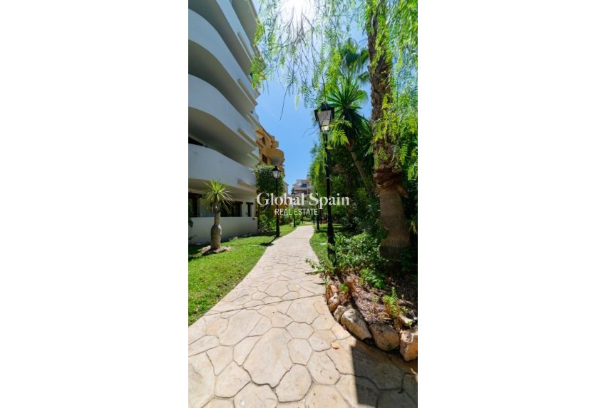 Venta - Apartamento -
PUNTA PRIMA