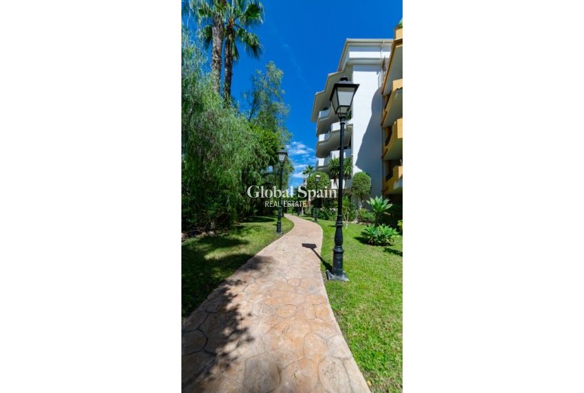 Venta - Apartamento -
PUNTA PRIMA