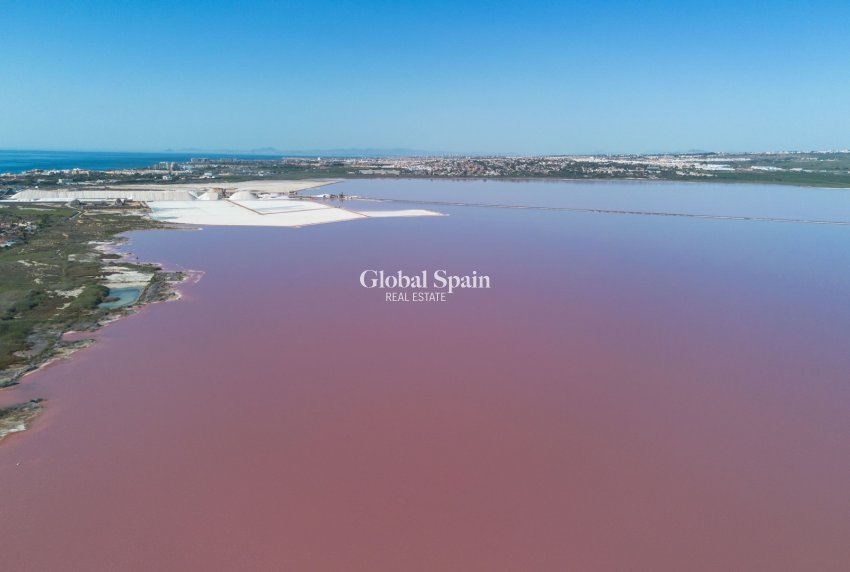 Venta - APARTAMENTO -
SAN MIGUEL DE SALINAS - Inland