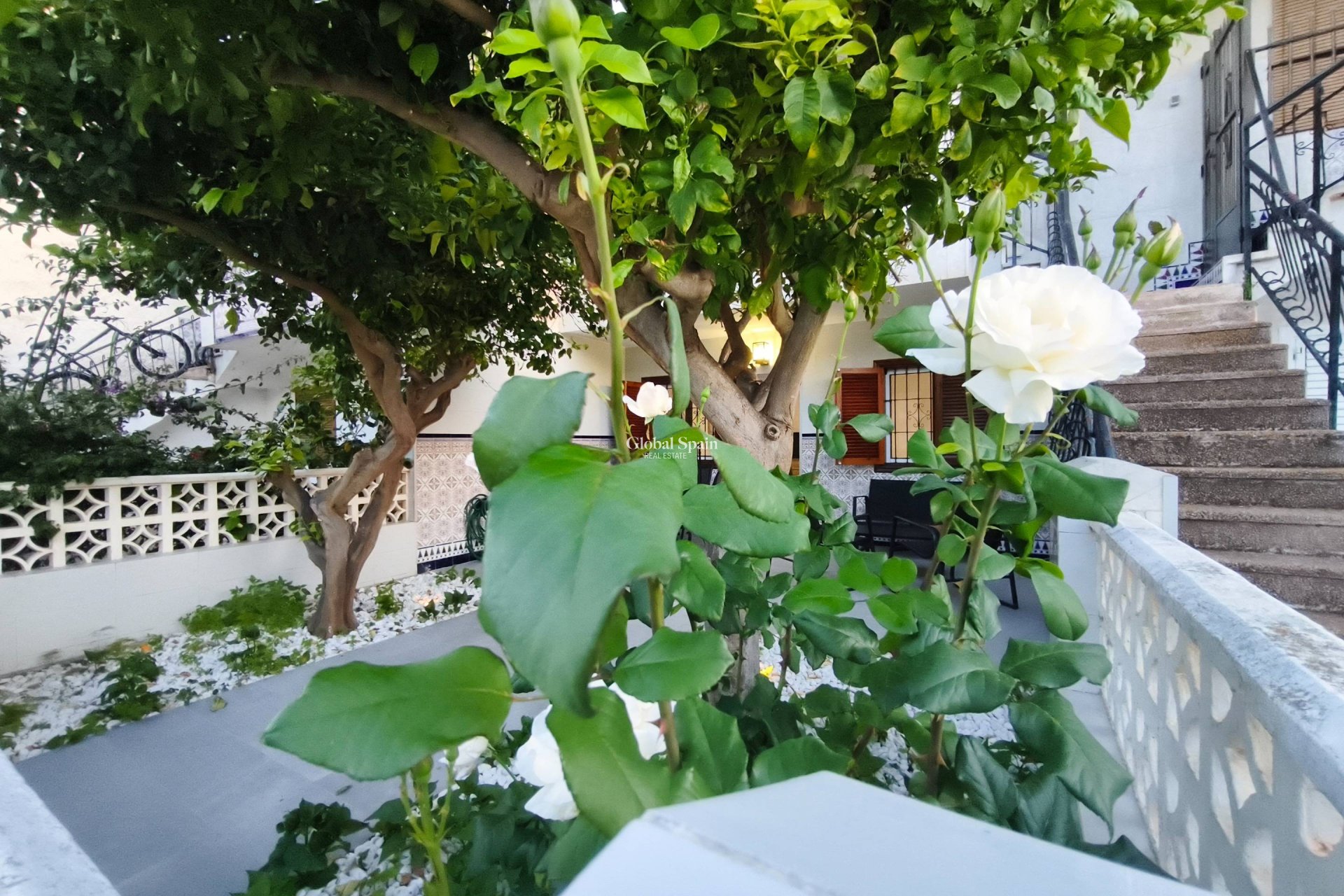 Venta - APARTAMENTO -
SAN PEDRO DEL PINATAR - Lo pagan