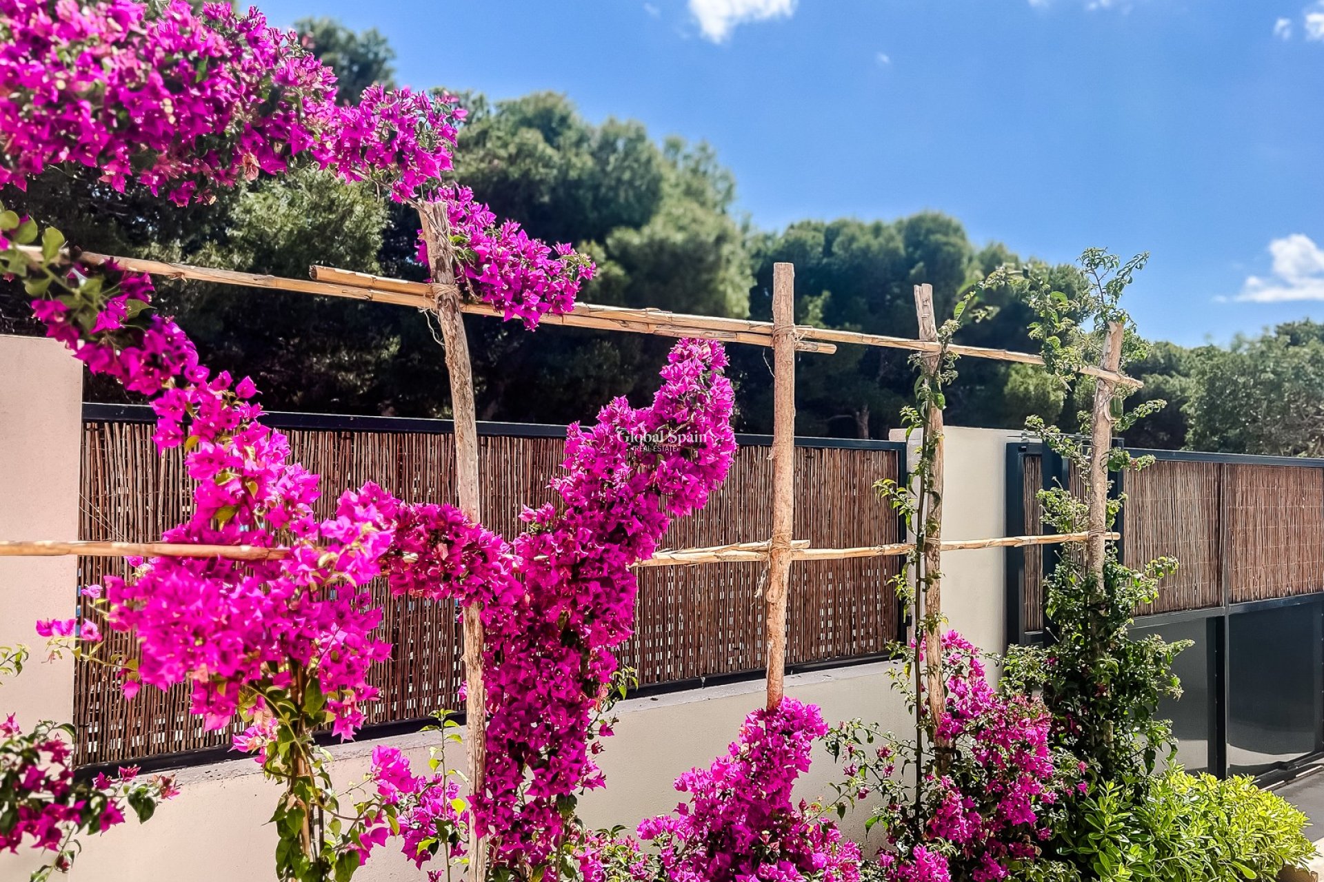 Venta - APARTAMENTO -
SANTIAGO DE LA RIBERA - zona san blas