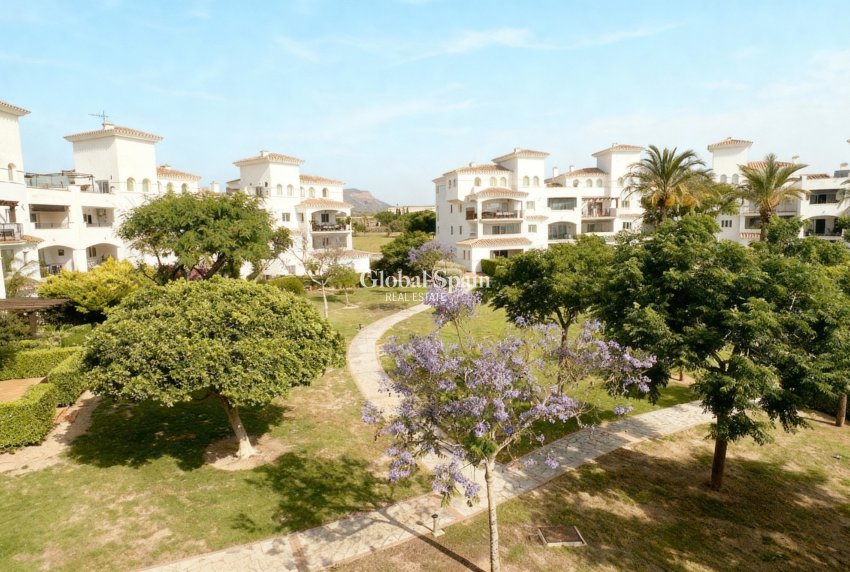 Venta - APARTAMENTO -
SUCINA - Inland