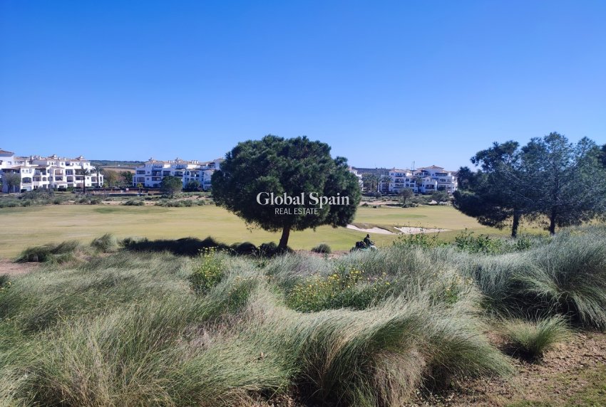 Venta - APARTAMENTO -
SUCINA - Inland