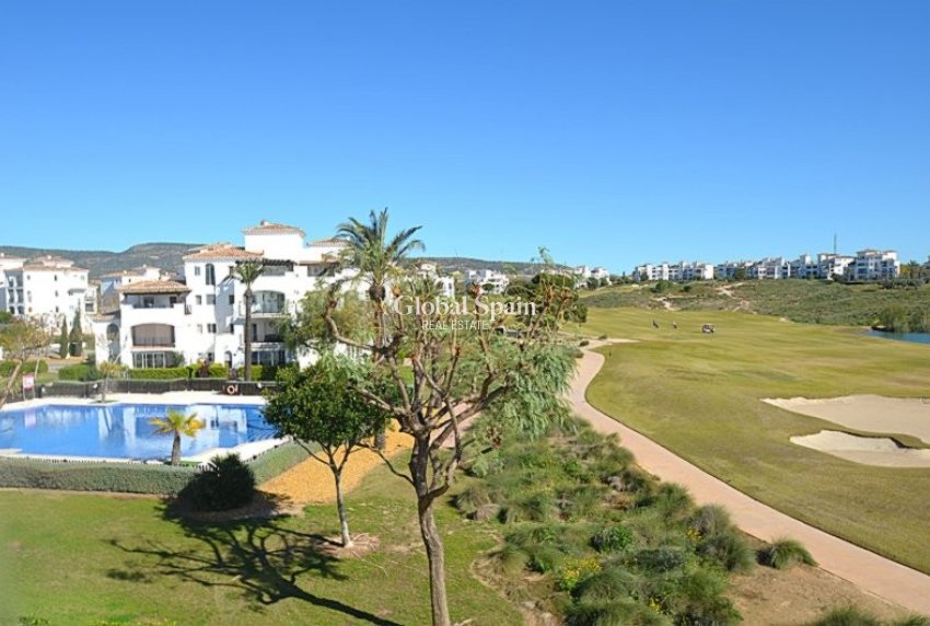 Venta - APARTAMENTO -
SUCINA - Inland