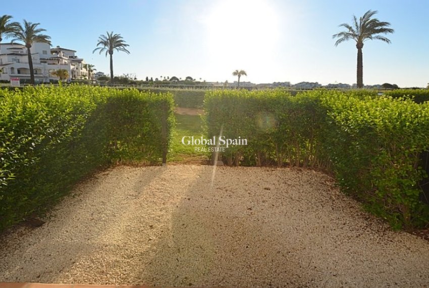 Venta - APARTAMENTO -
SUCINA - Inland