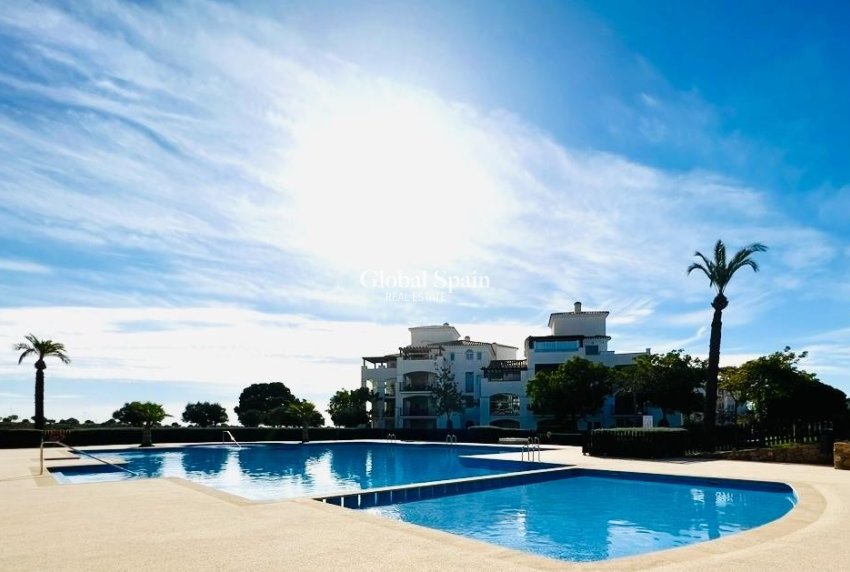 Venta - APARTAMENTO -
SUCINA - Inland