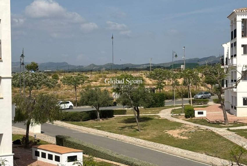 Venta - APARTAMENTO -
SUCINA - Inland