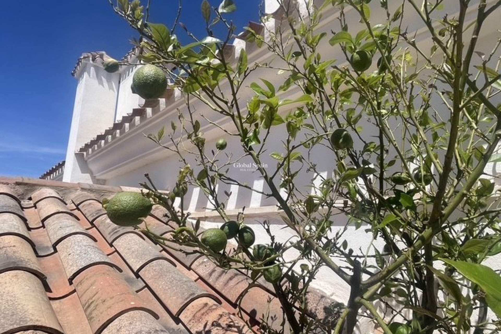 Venta - APARTAMENTO -
SUCINA - Inland