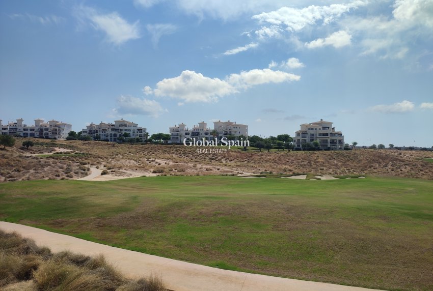 Venta - APARTAMENTO -
SUCINA - Inland