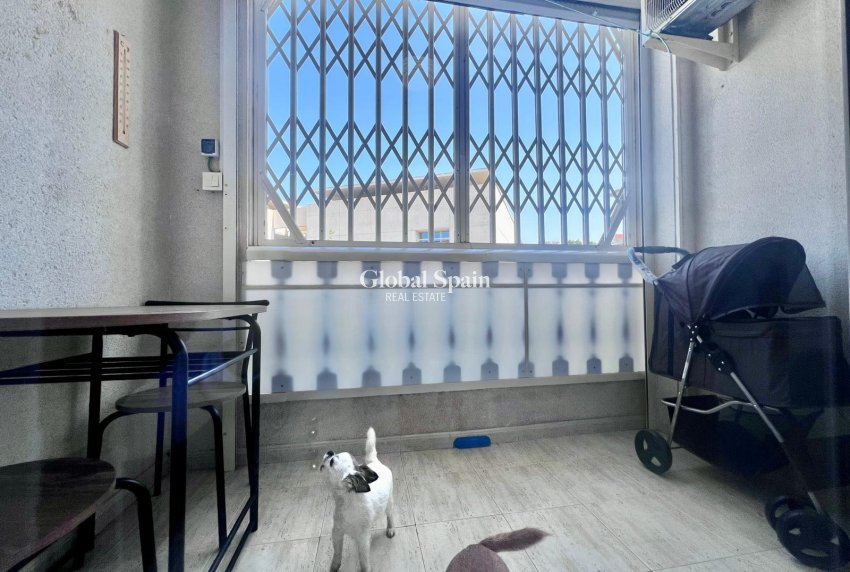 Venta - APARTAMENTO -
TORREVIEJA - Acequion