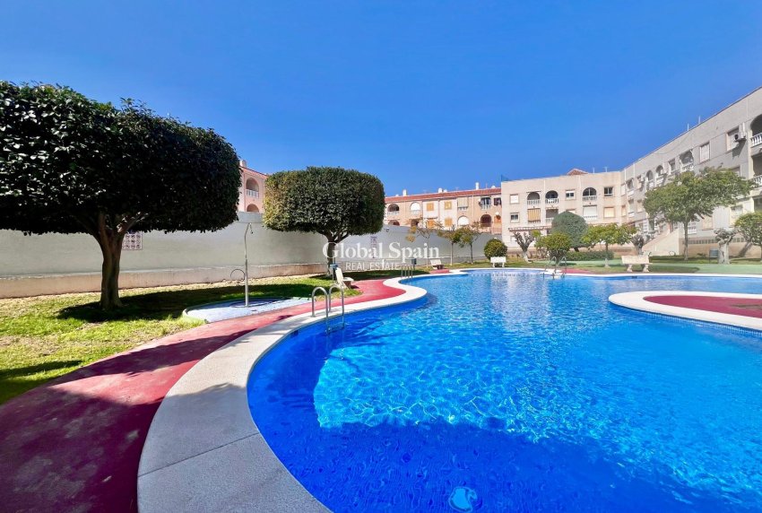 Venta - APARTAMENTO -
TORREVIEJA - Acequion