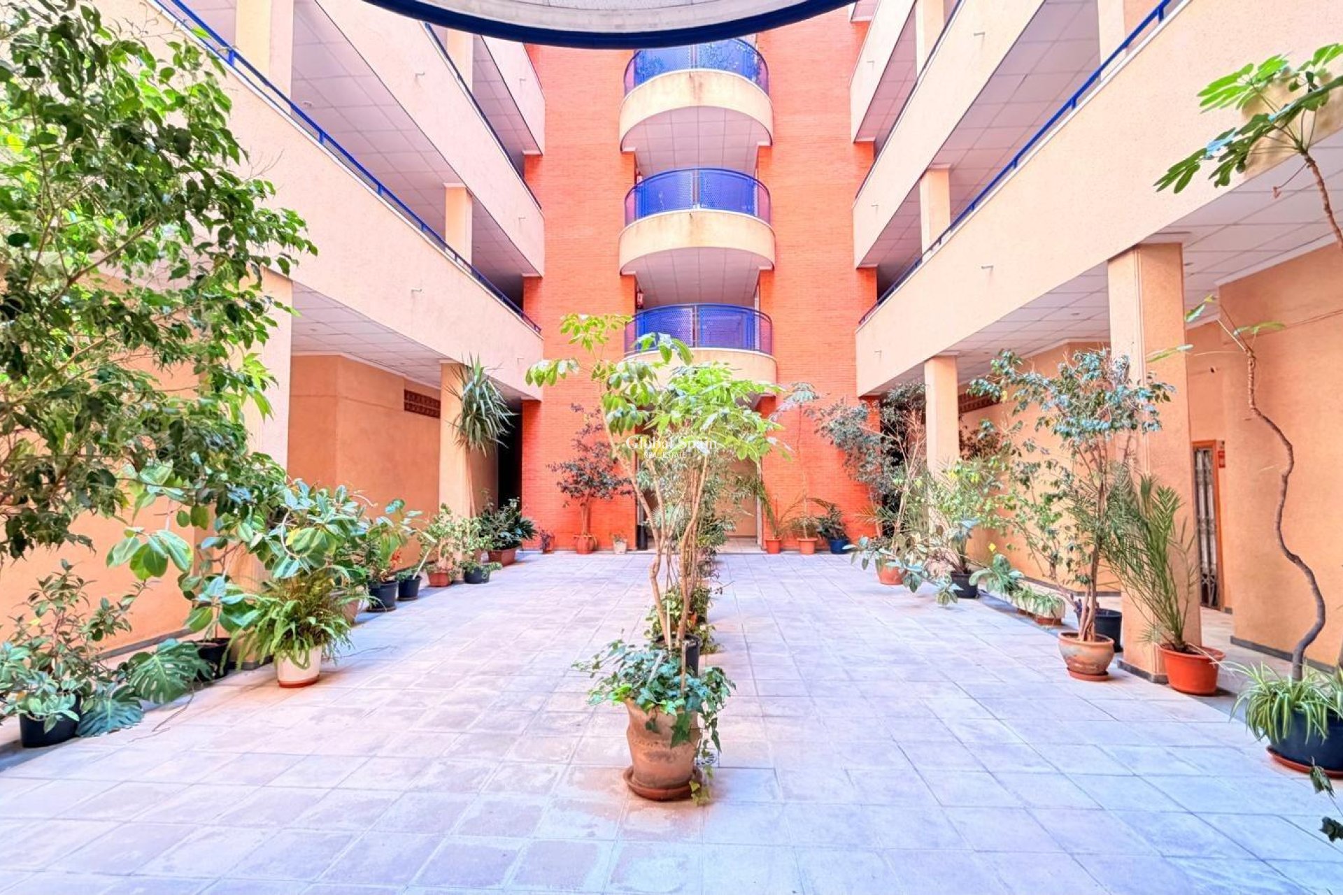 Venta - APARTAMENTO -
TORREVIEJA - Acequion
