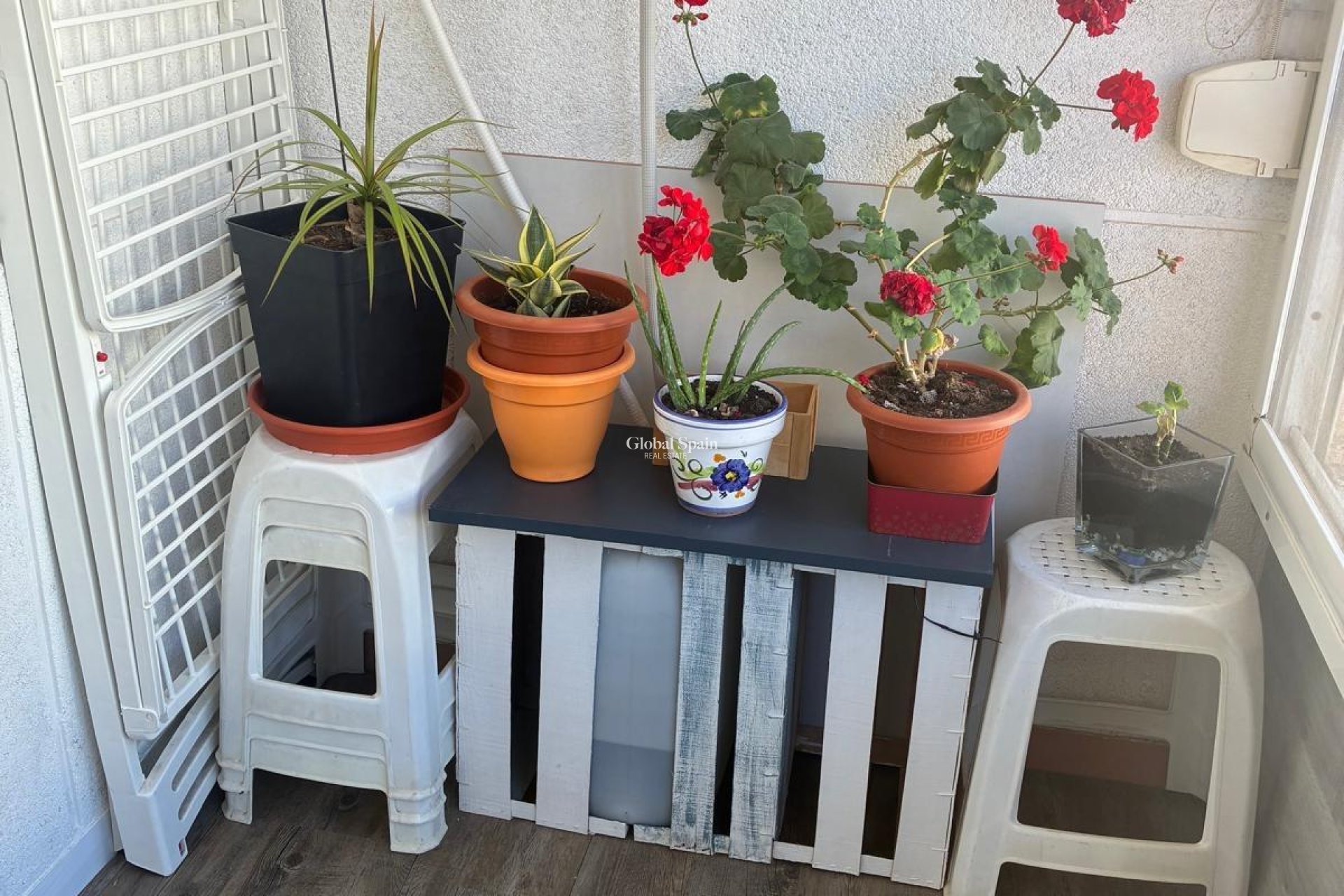 Venta - APARTAMENTO -
TORREVIEJA - Center