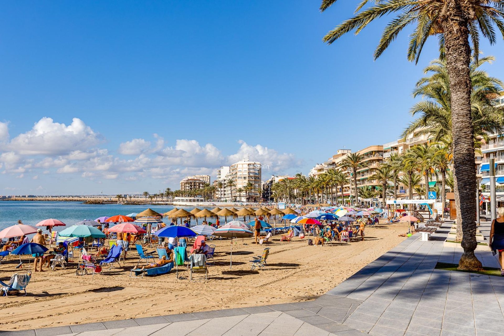 Venta - APARTAMENTO -
TORREVIEJA - Center