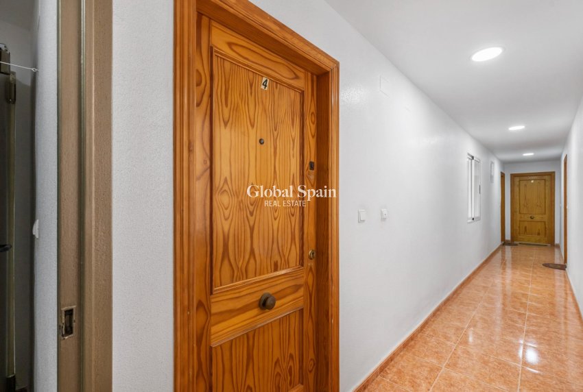 Venta - APARTAMENTO -
TORREVIEJA - Centro - Muelle Pesquero