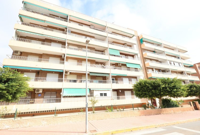 Venta - APARTAMENTO -
TORREVIEJA - Costa Blanca