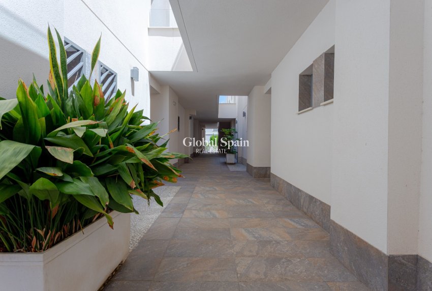 Venta - APARTAMENTO -
TORREVIEJA - Costa Blanca