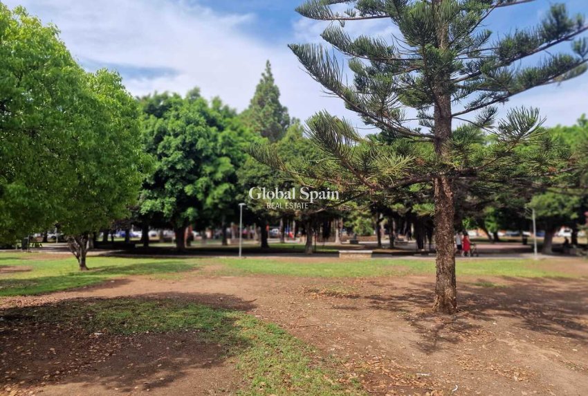 Venta - APARTAMENTO -
TORREVIEJA - Costa Blanca