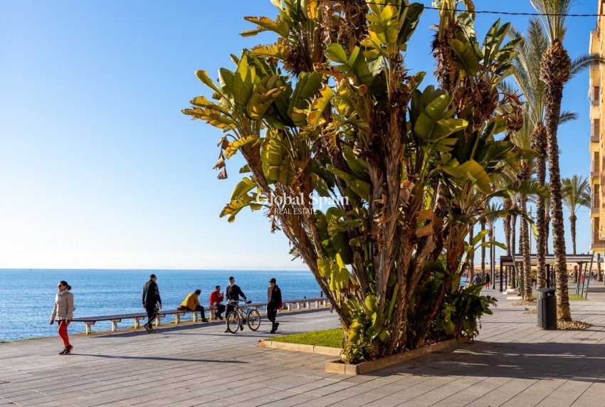 Venta - APARTAMENTO -
TORREVIEJA - Costa Blanca