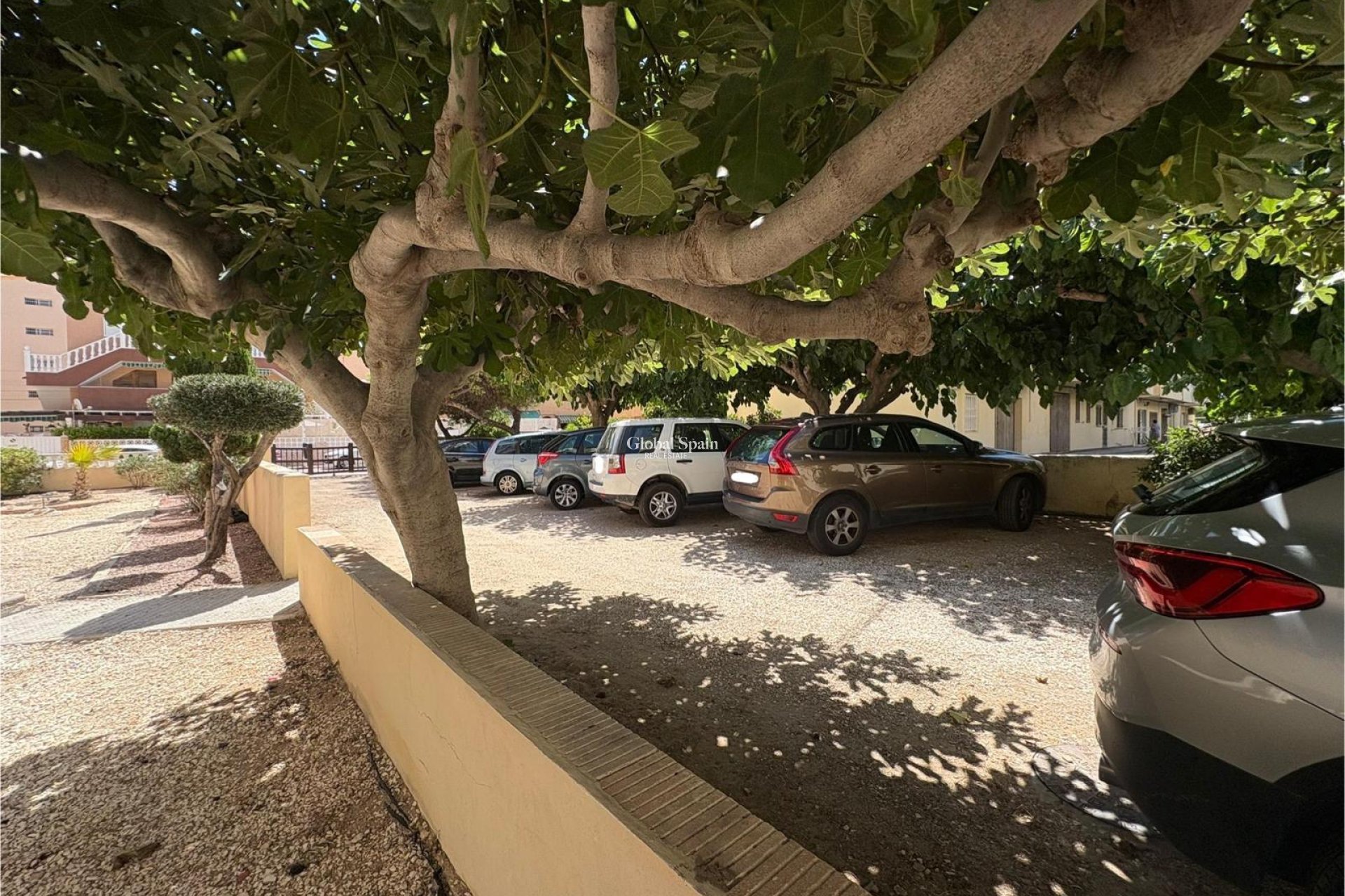 Venta - APARTAMENTO -
TORREVIEJA - Costa Blanca