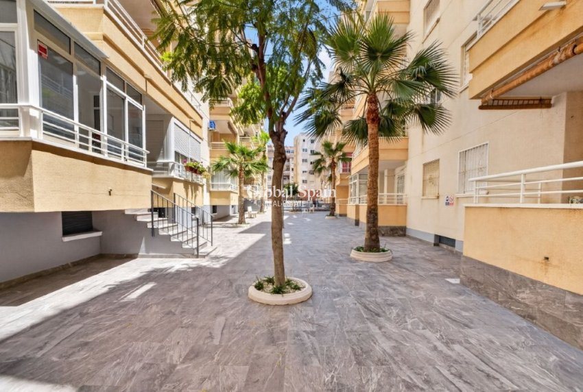 Venta - APARTAMENTO -
TORREVIEJA - Costa Blanca
