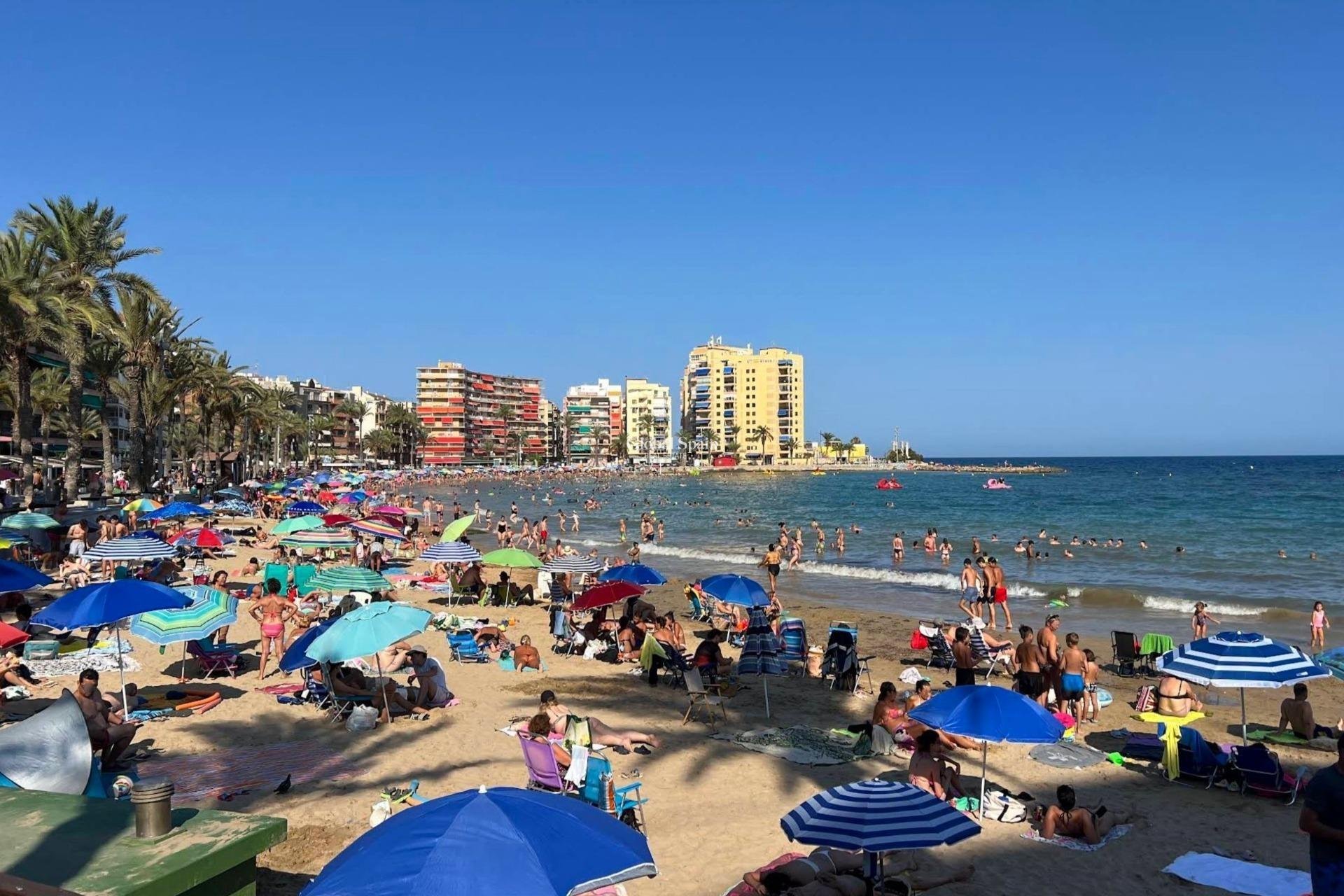 Venta - APARTAMENTO -
TORREVIEJA - Curva Del Palangre