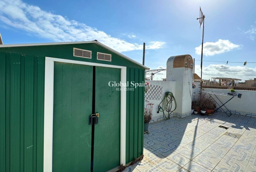 Venta - APARTAMENTO -
TORREVIEJA - El limonar