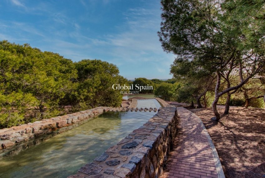 Venta - APARTAMENTO -
TORREVIEJA - El Molino