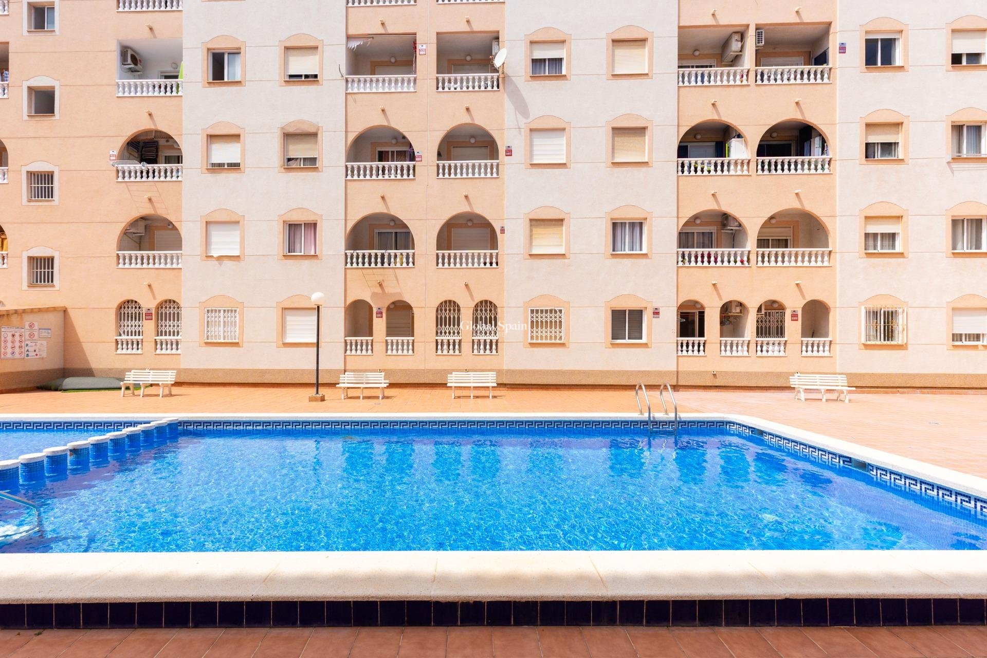 Venta - APARTAMENTO -
TORREVIEJA - Estacion de autobuses