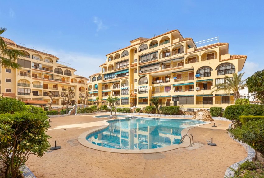 Venta - APARTAMENTO -
TORREVIEJA - La Mata