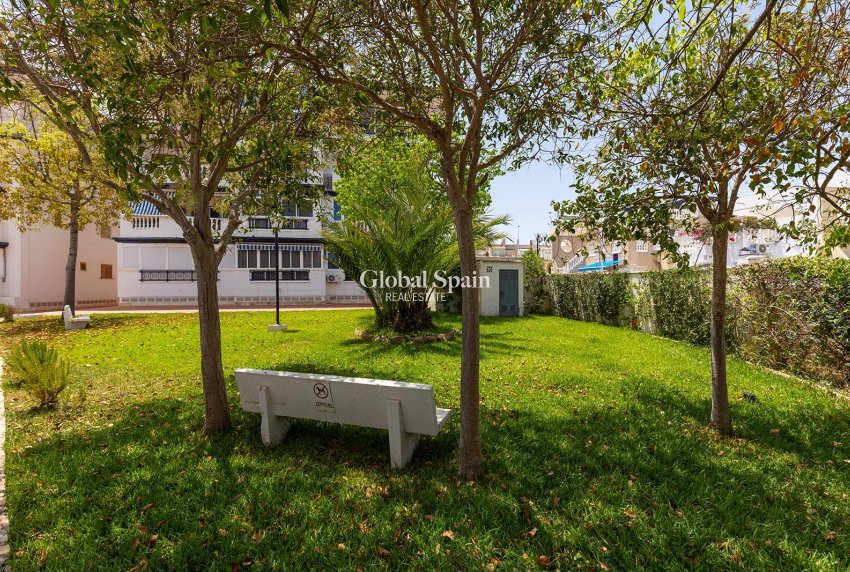 Venta - APARTAMENTO -
TORREVIEJA - La Mata