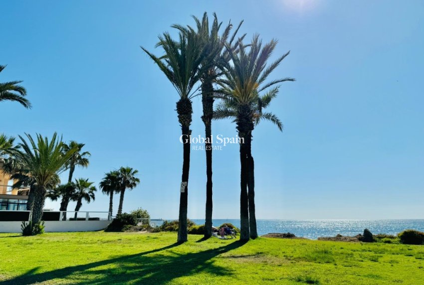 Venta - Apartamento -
TORREVIEJA - La Veleta