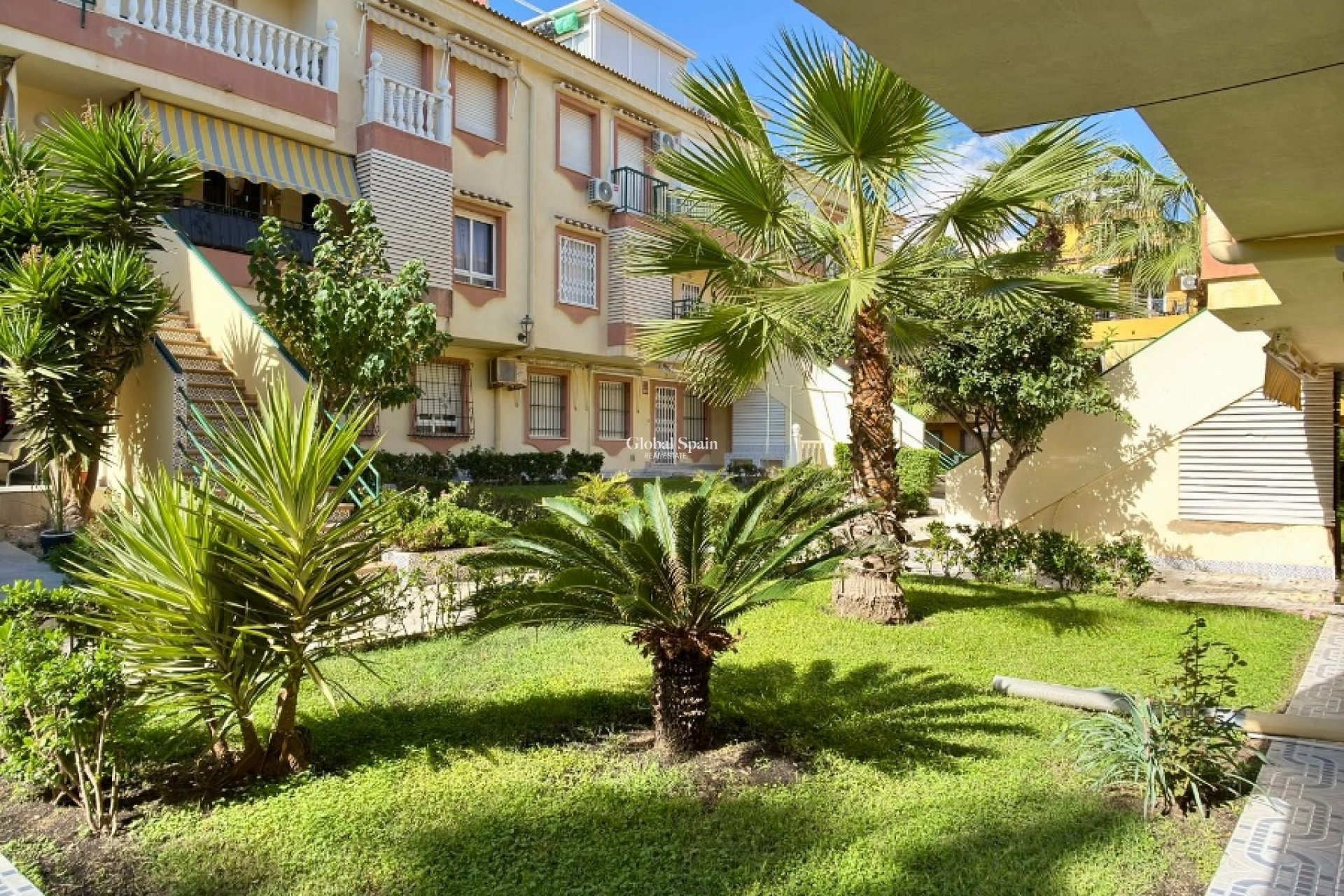 Venta - APARTAMENTO -
TORREVIEJA - La veleta