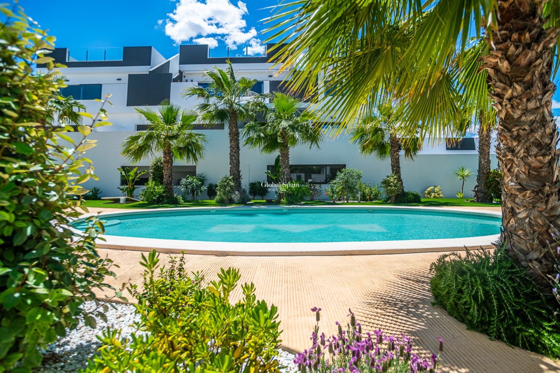 Venta - APARTAMENTO -
TORREVIEJA - LOS BALCONES - LOS ALTOS