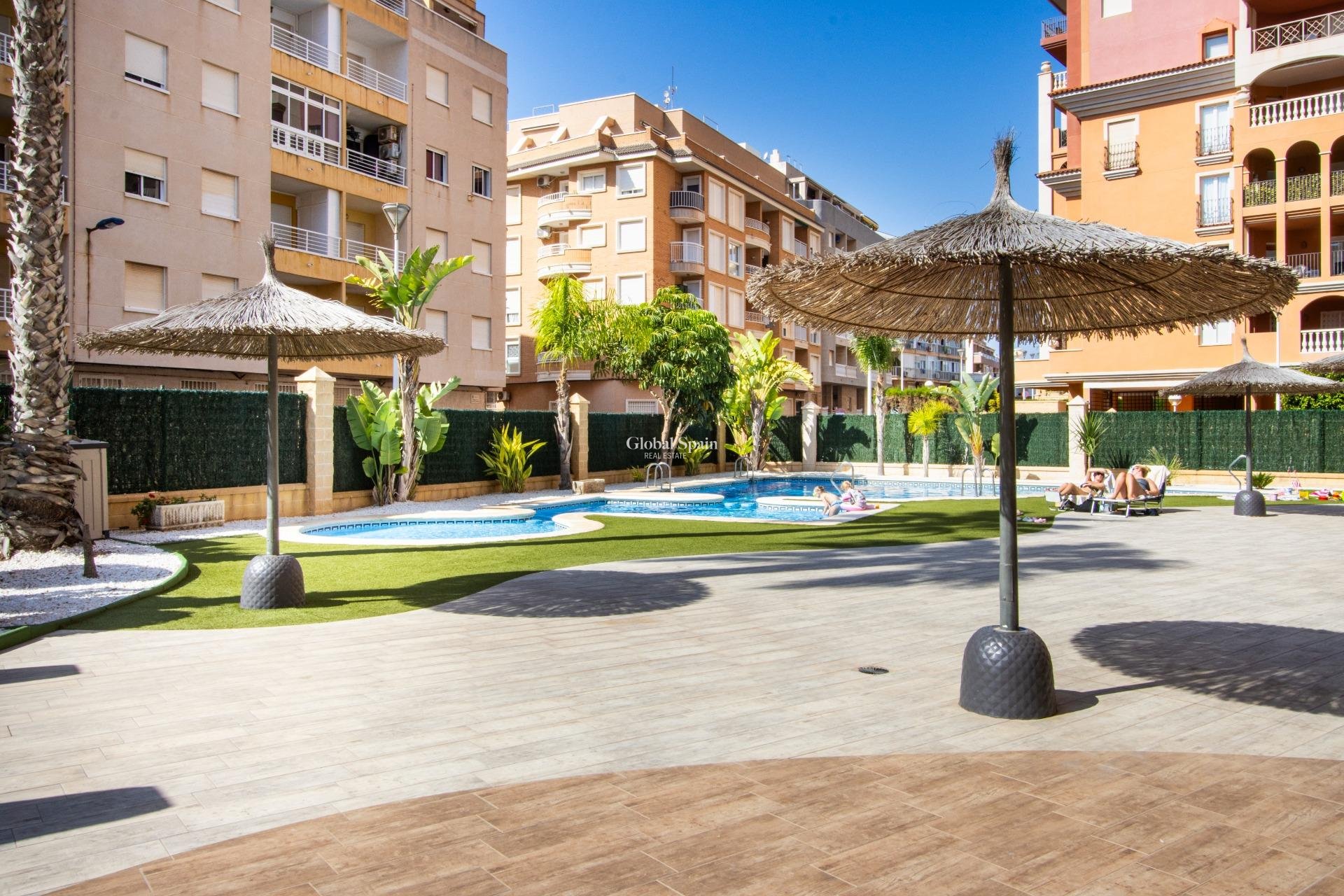 Venta - APARTAMENTO -
TORREVIEJA - Los Frutales